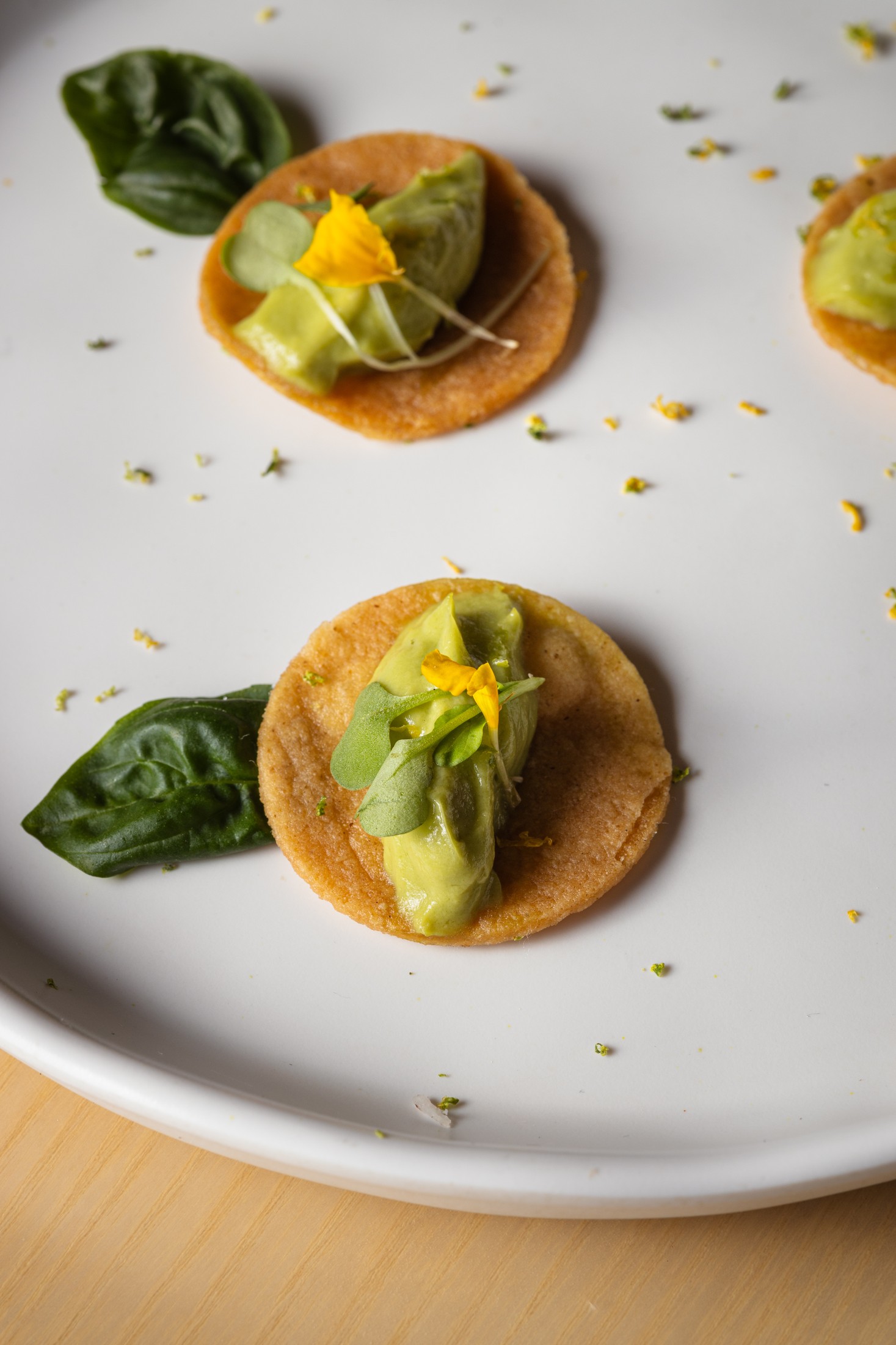 Terra Chips — corn chips with guacamole